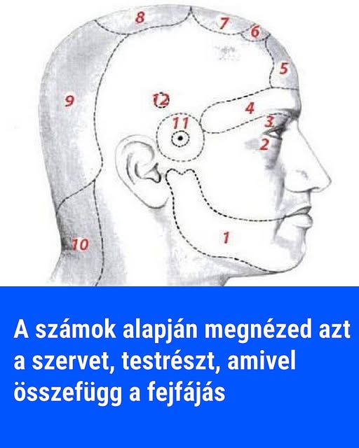 Mit üzen a fejfájás helye? – Útmutató a test jelzéseihez