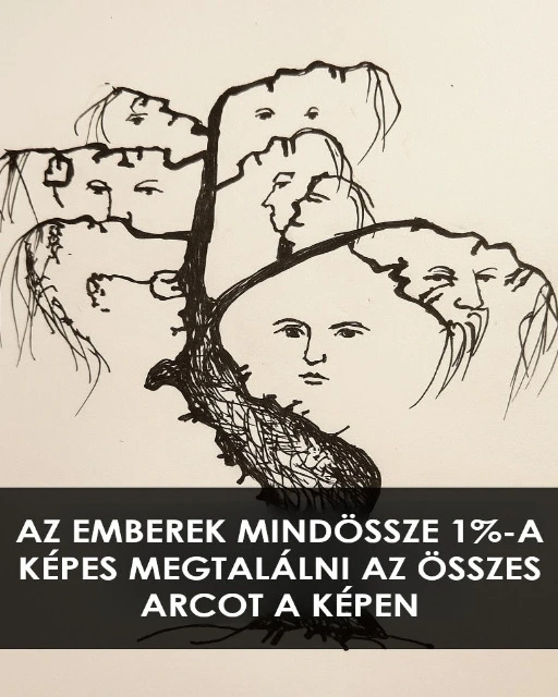 Amikor a fák „beszélnek”: a természet, mint tükör