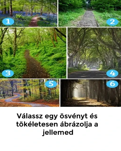 Valassz Egy Osvenyt Es Tokeletesen Abrazolja